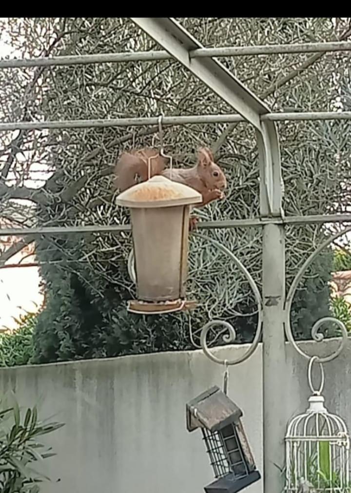 Appartement Petite Maison Avec Jardin Calme